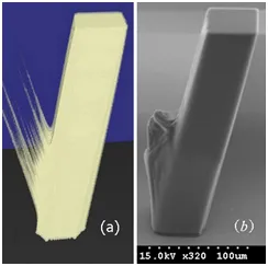 Screenshot of the simulation and experimental results in Exposure